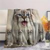 1Pc Lion Cat Himalayan Print Flannel Blanket, High quality Comfortable for All Seasons, Home Decor, Warmth and Comfort, Perfect for Gifts