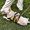 Hund Einstellbares Trainingsgeschirr Weste Rucksack Gürtel Bequemes Hundewestengeschirr für mittelgroße Hunde Rucksackweste Gelb S