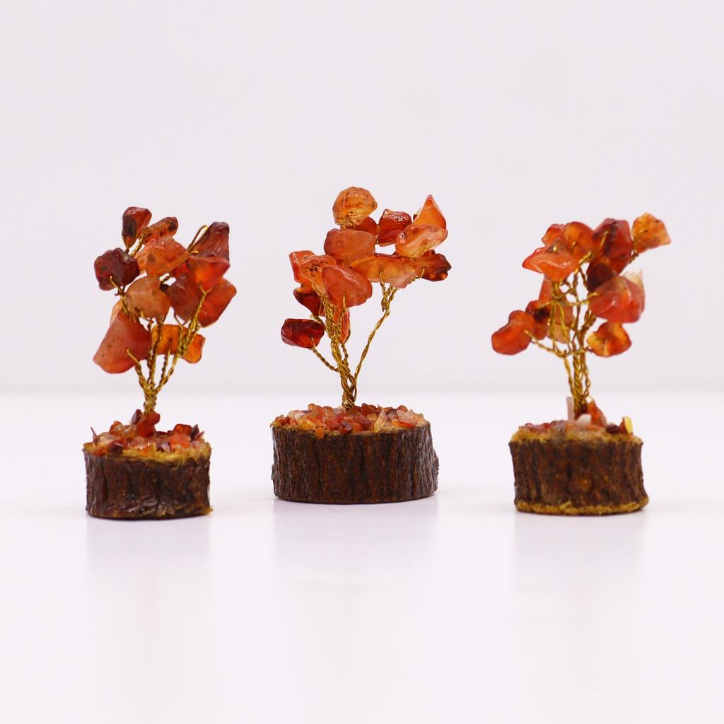 Carnelian Gemstone Tree With Wood Base 15 Stones