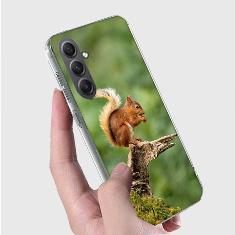 

Forest Squirrels Foraging For Food Phone Case for Samsung Galaxy A54 A14 A24 A34 A17 A37 A57 A55 A35 A25 A15 A16 A26 A36 A56 A13 Samsung A07