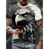 T-Shirts Oversize Eagle Graphic T-Shirt Summer Short Sleeve Tops Tees Oversized Fashion Animal Men T-Shirt Vintage Men's Clothes