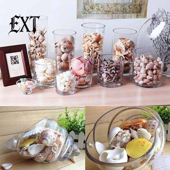 100g Gemischte Muscheln Muschelhandwerk Muscheln Zuhause Aquarium Nautische Dekoration