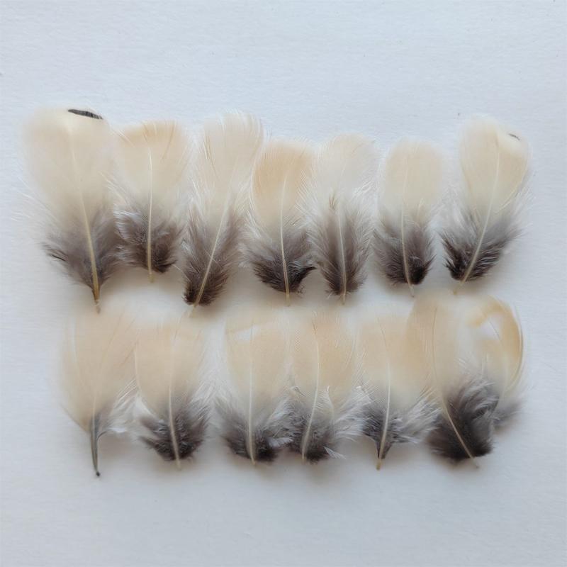 50Pcs- NATURAL Beige &Grey Chukar Partridge Hen Feathers  3-7CM Long for Craft Millinery Fly Fishing,4 Models Available