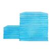 Care Pad: Hospital-Grade Disposable Large Postpartum and Elderly/Infant Urine Pads (60x80cm, 45x60cm)