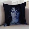 Singer Billie Eilish Soft Comfortable Pillow Case Cartoon For Sofa Living Cat Room Home Office Retro Decor Protective Cover