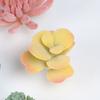 Simulation Succulent Plant Head Small Succulent Plant Head Home Decoration Supermarket Decoration Shooting Props Products