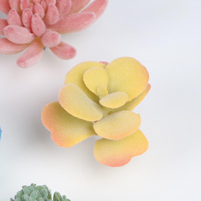 Simulation Succulent Plant Head Small Succulent Plant Head Home Decoration Supermarket Decoration Shooting Props Products