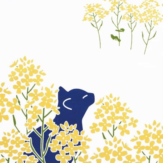 Dyeing Anbo Tenugui In a Field of Rape Authentic Dyed Cotton Made In 35cm X 100cm "Cat Flowers" 100% Tokuoka, Japan,