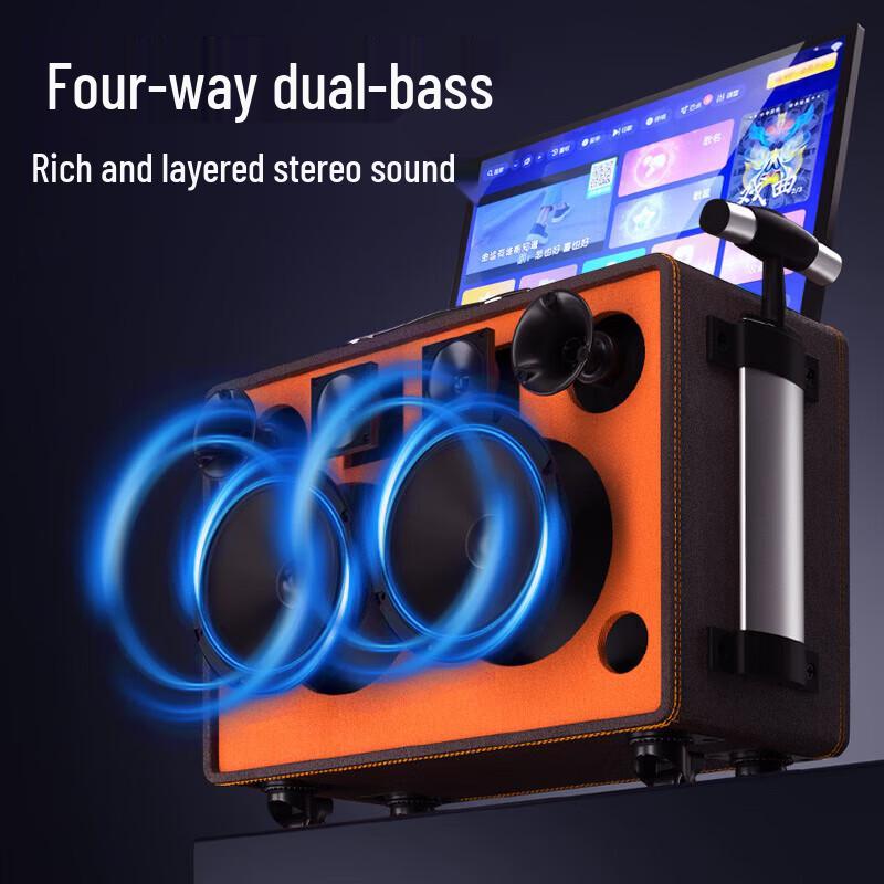 TEMEISHENG TA06 Portable KTV Speaker System with Screen CN Plug (adapter Included)