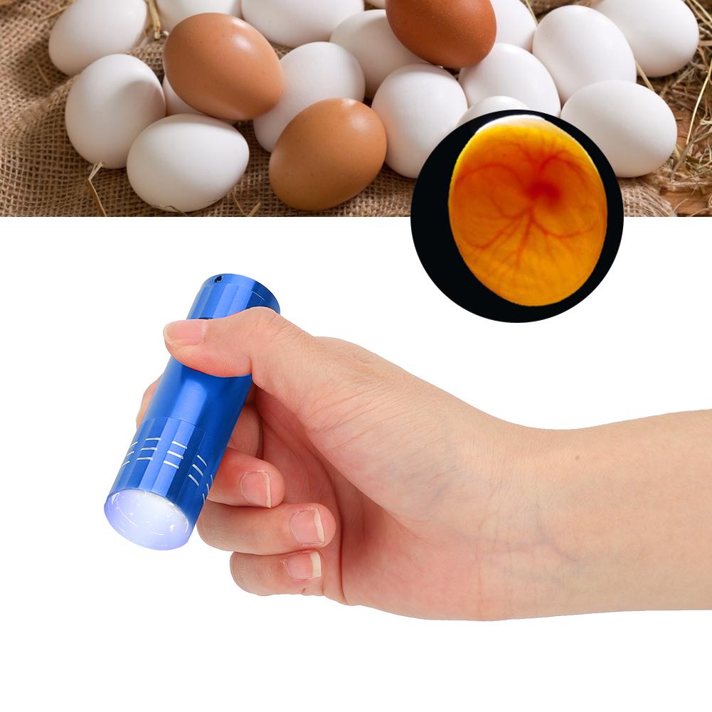 Egg Incubator Tester Candling Lamp 9 Light Bright Cold Hatching Poultry AccessoryBlue