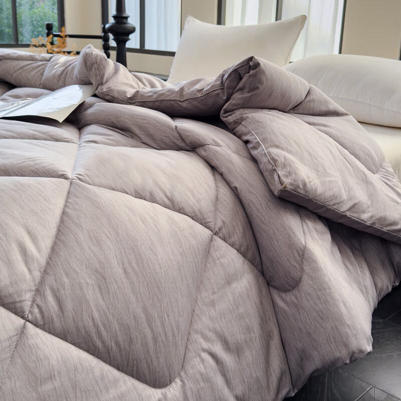 Baifudi All-Season Ultra-Soft Fiber Quilt