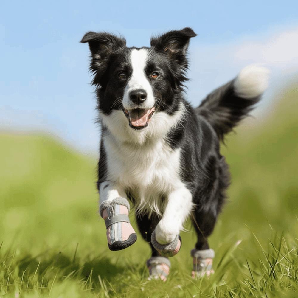 4pcs/set Comfortable Warm Winter Dog Shoes Thickened Waterproof Pet Snow Boots Reflective Adjustable Anti-slip Dog Boots Outdoor