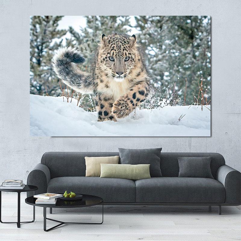 Snow Leopard Pictures Plakater og Pirnts Hvite Leoparder Dyrelerretsmaleri Wildlife Veggkunst til stuen Hjemmeinnredning