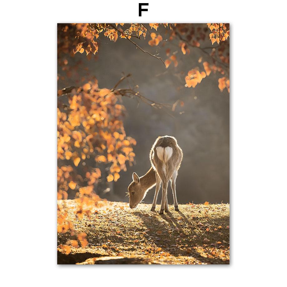 Herbst Ländlichen Kürbis Deer Wald Nordic Poster Und Drucke Wand Kunst Leinwand Malerei Bilder Für Wohnzimmer Dekoration