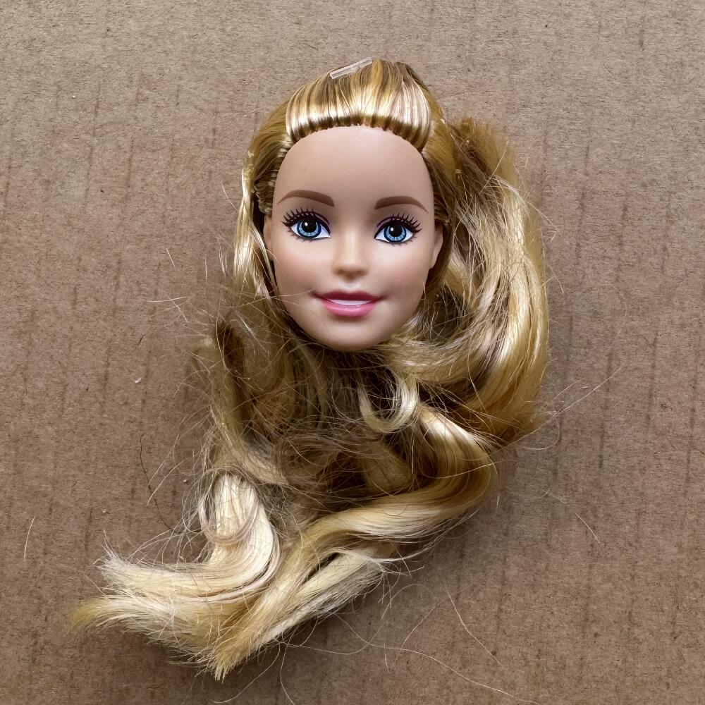 1/6 Doll Heads Rare Face White Beige Brown Skin Tone