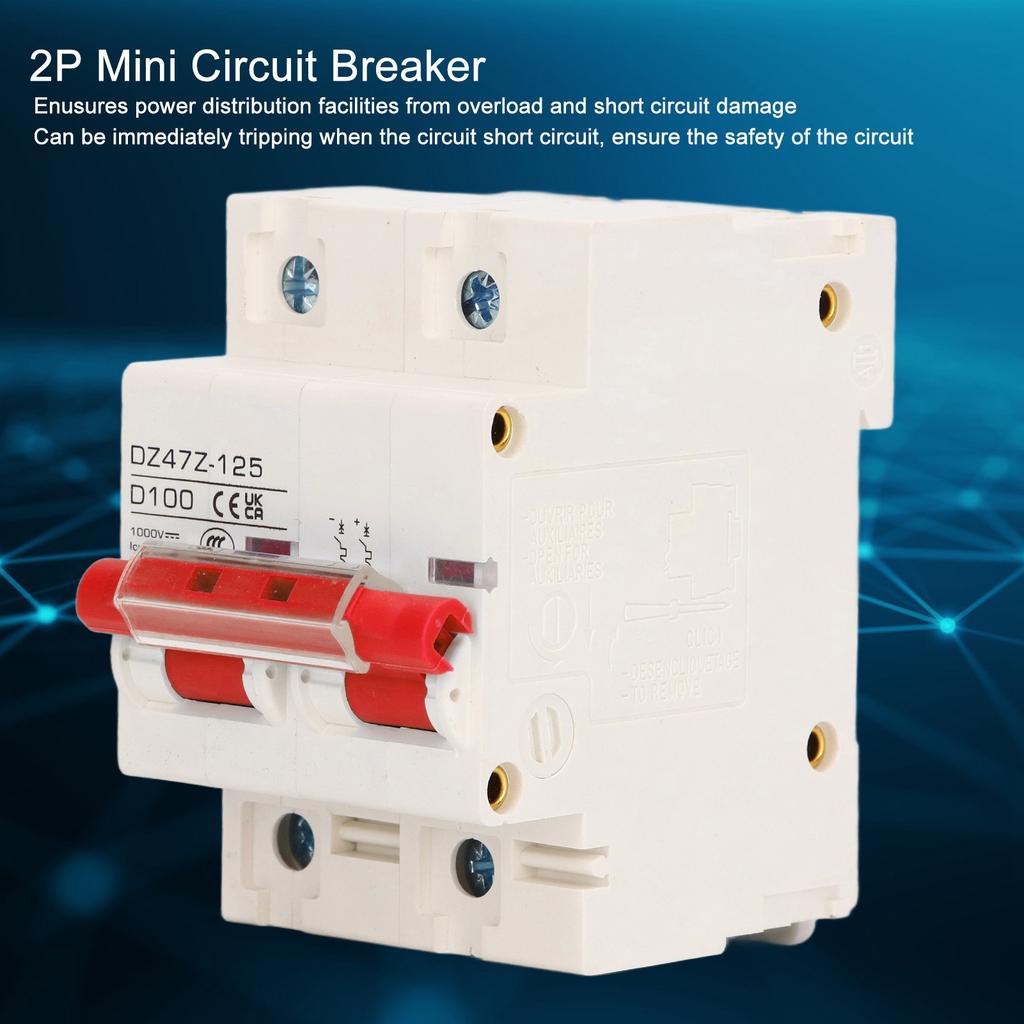 Circuit Breaker 2P D 47  125 100A DIN Rail  ature Circuit Breaker for Solar PV System 1000V