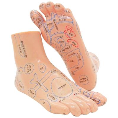 UPstore Foot Reflexology Model, Reflex Zones, Acupuncture Points, 3D Illustration, Japanese Text, Left and Right Set, Foot Massage, Leg Refresh