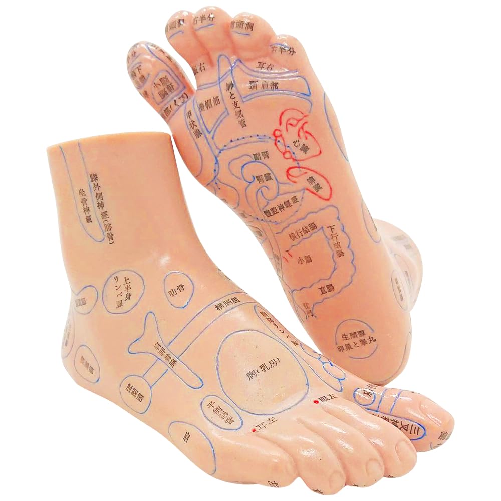 

UPstore Foot Reflexology Model, Reflex Zones, Acupuncture Points, 3D Illustration, Japanese Text, Left and Right Set, Foot Massage, Leg Refresh