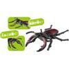 Takara Tomy Ania AS-43 Stag Beetle Animal Toy for Kids Age 3 and Up