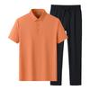 Herren Sommer Eis Seide Nahtloses Poloshirt & Shorts Set
