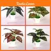 Caladium Simulated Bicolor Artificial Green Plant Potted Indoor Decoration