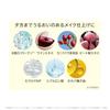 MISSHA BB Cream/Concealer Set No.23 Natural Beige