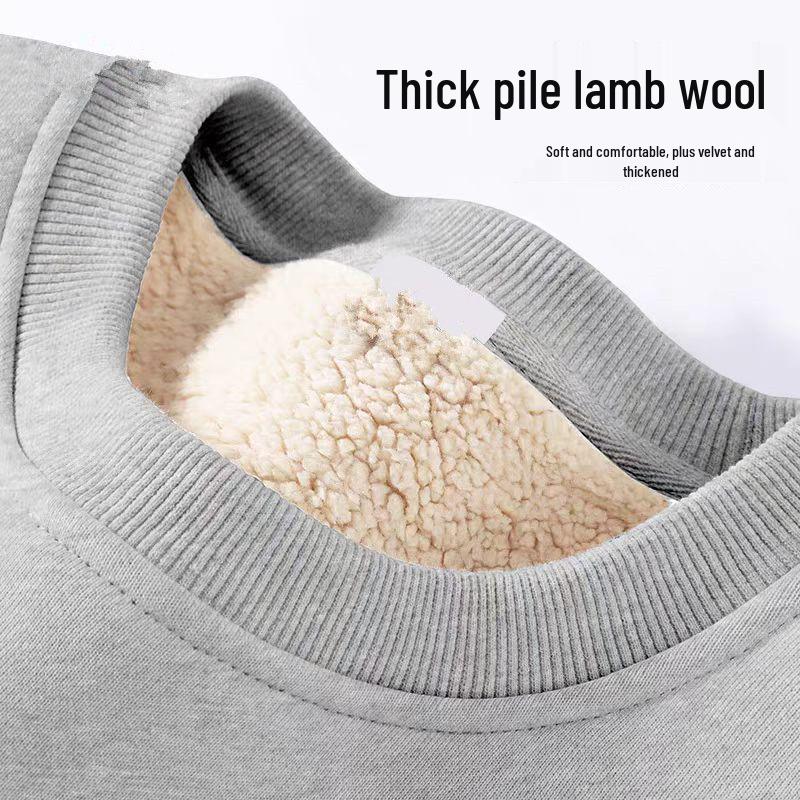 Men's 2024 Winter Thick Lambswool Hoodie - Round Neck, Solid Color, Long Sleeve, Velvet-Enhanced Warm Fleece.