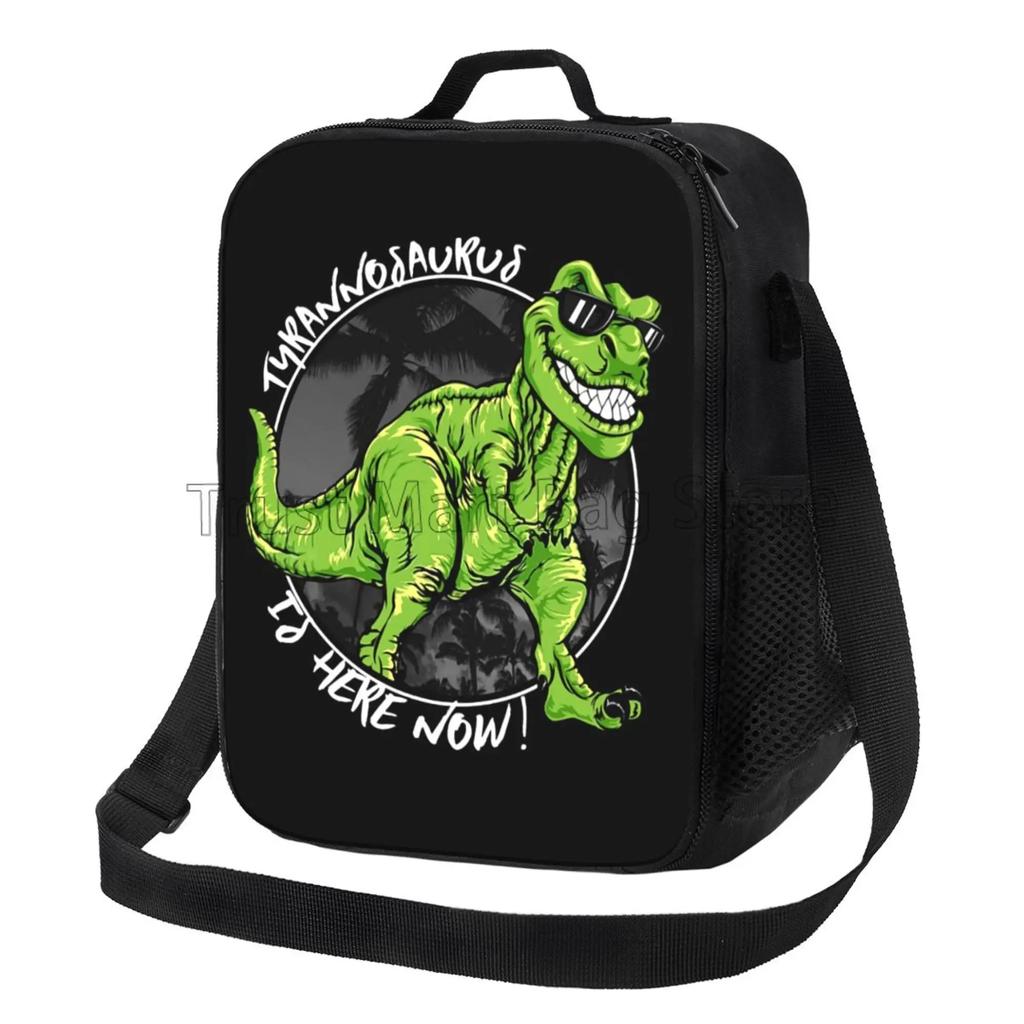 Isolierte Cartoon-Dinosaurier-Lunchtasche für Kinder, Jungen, Mädchen, tragbare thermische Bento-Lebensmitteltasche, Oxford-Kühltasche für Schule, Arbeit