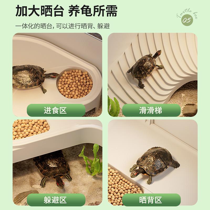 Eco Turtle Habitat with Sun Terrace & Climbing Platform for Home Use