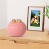 Pet Memorial Urn Moisture-Proof Dog Cat Cremation Urn 350ml Capacity Cement Pet Loss Keepsake Urn for Dogs Cats Bone Ash