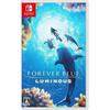 Nintendo Switch Game Cartridge - Eternal Blue Stream