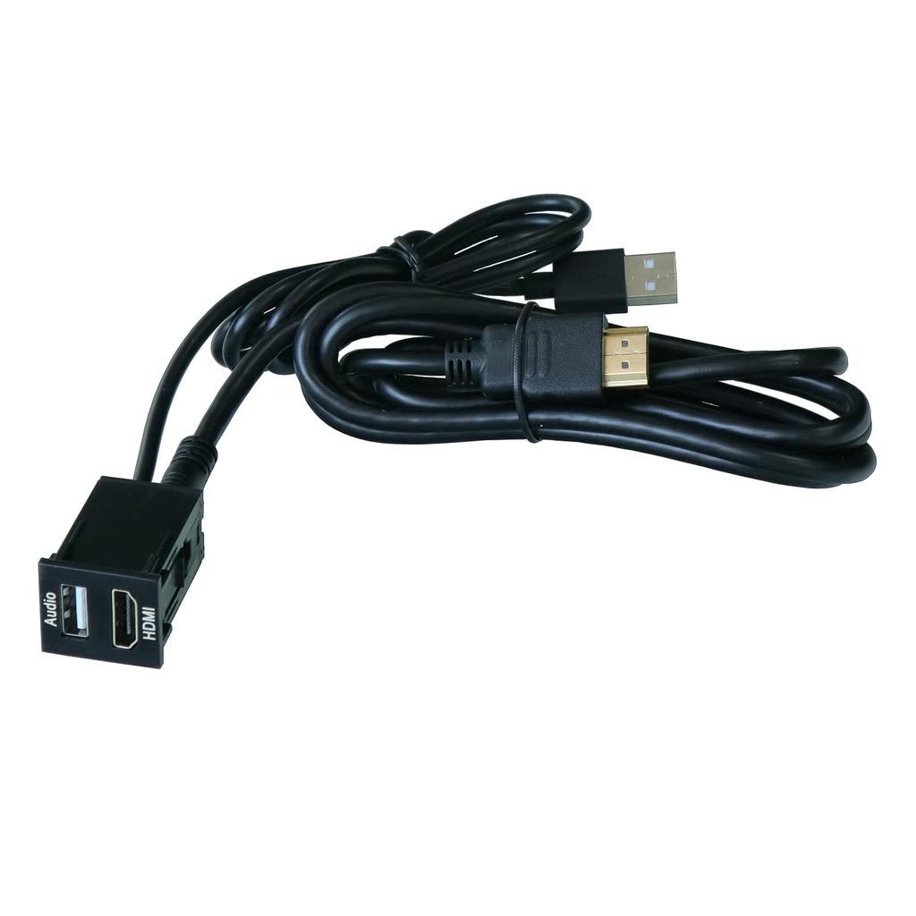 USB Input Port & HDMI Input Port Audio Relay Audio