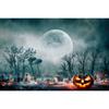 Halloween Decor Backgrounds for Photographs Horror Night Moon Wooden Board Pumpkins Lights Adults Kids Portrait Photo Backdrop