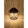 Coleman Camping Mini Vintage Lamp Green LED Rechargeable Outdoor Lantern