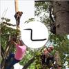 Tree Stand Steps 20.7cm/8.15 inches Climbing Tree Stand 705lbs Self-Tapping Screw Mount Slip-Resistant Climbing Tree Stand For