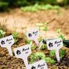 100pcs T-shaped Plant Mark White PVC Material Garden Plant Classification Label Garden Ground Label Plant Waterproof Label