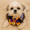 Soft Material Halloween Pet Collar With Bell Dog Pumpkin Collar Adorable Pet Bow Tie  For Cats