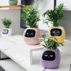 Vaso da fiori intelligente pigro ad assorbimento automatico dell'acqua resina plastica circolare ricaricabile USB pianta da interno piccolo vaso da fiori YLE22