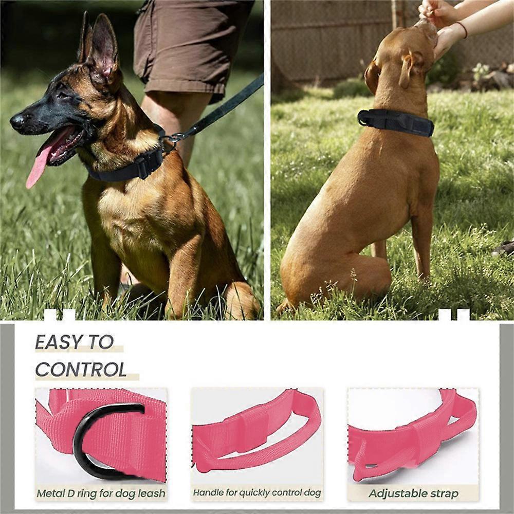 Animals & Pet Supplies > Pet Supplies > Pet Collars & Harnesses