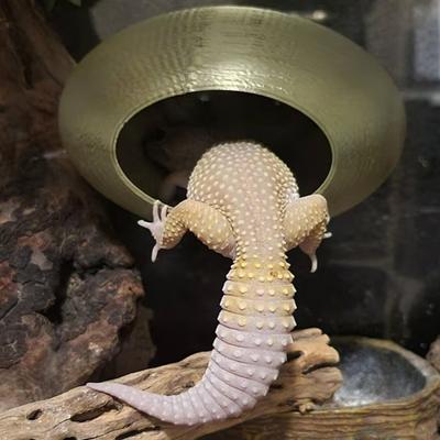 Lizard Axolotls Aquarium Cave For Aquatic Pets To Breed, Play AndRest Fish Tank Ornaments
