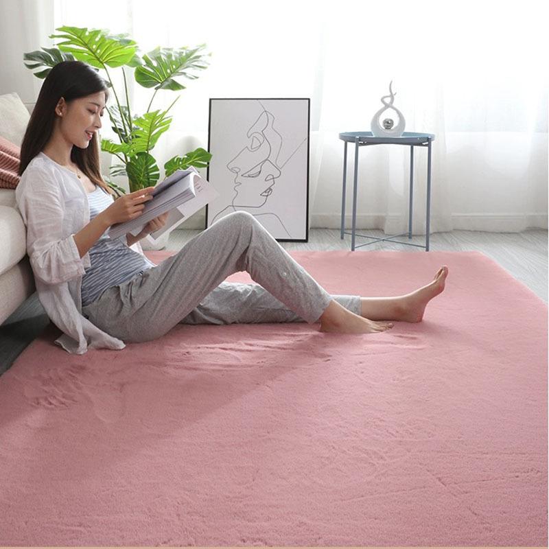 Instyle Thick Plush Imitation Rabbit Fur Carpet for Bedroom, Living Room, or Bay Window