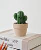[Special Set] All-in-One Perfume Bar Canola + Cactus Bar Objet Gift Set