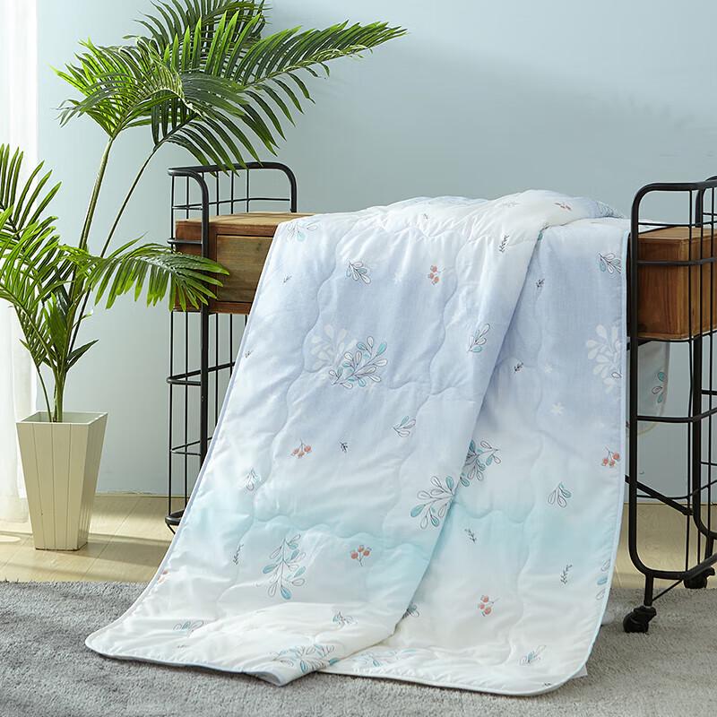 Mengjie Zhilan Soft Blended Summer Quilt