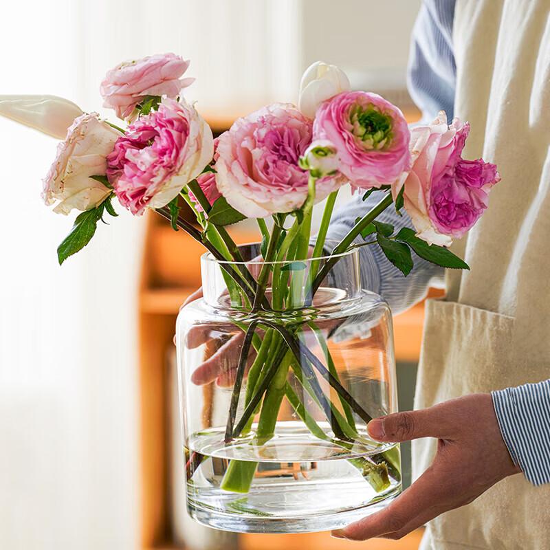 

Elegant Glass Flower Vases for Home Decor