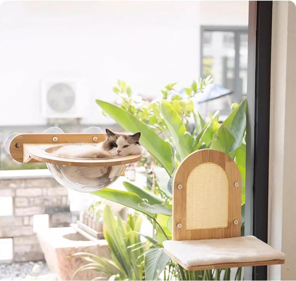 Cat Furniture, Rubber Wood Transparent Capsule Kitten Wall Shelves - Premium Kitty Bed for Sleeping, Playing, Climbing