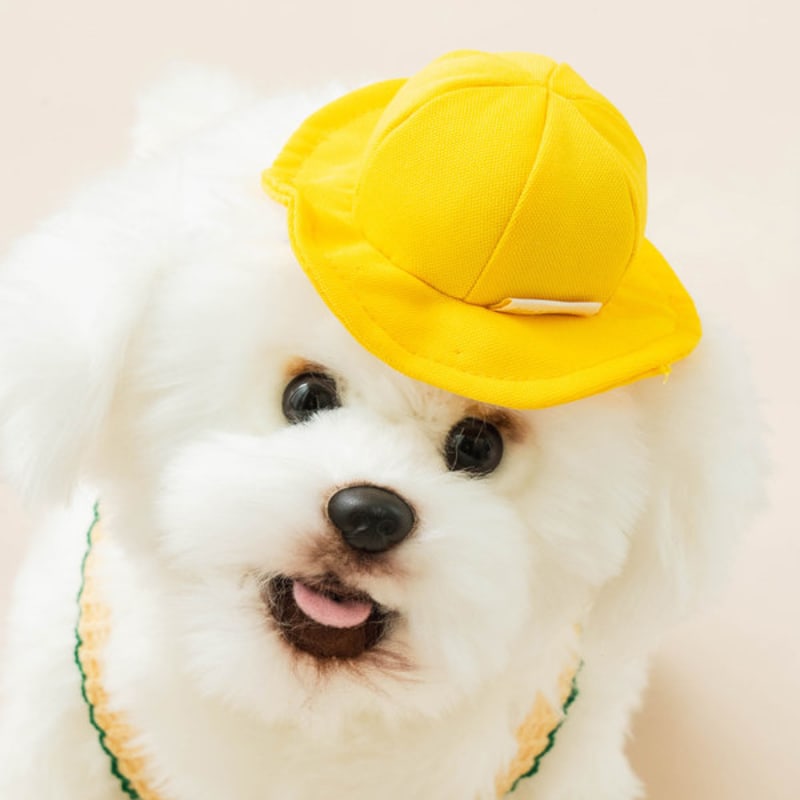 [Pet] Kindergarten Hat S