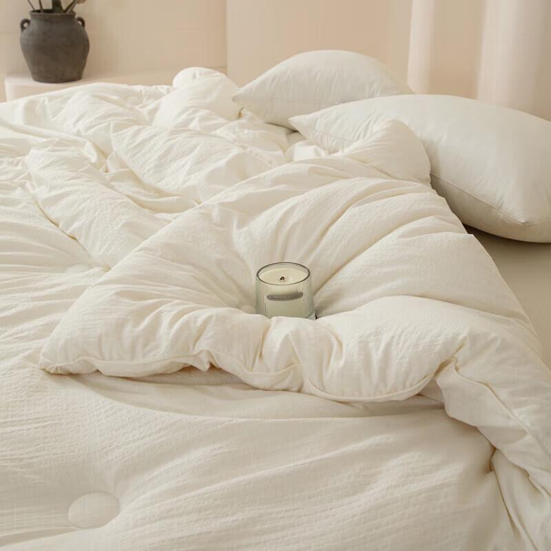 Muji Waffle Soybean Fiber Winter Quilt