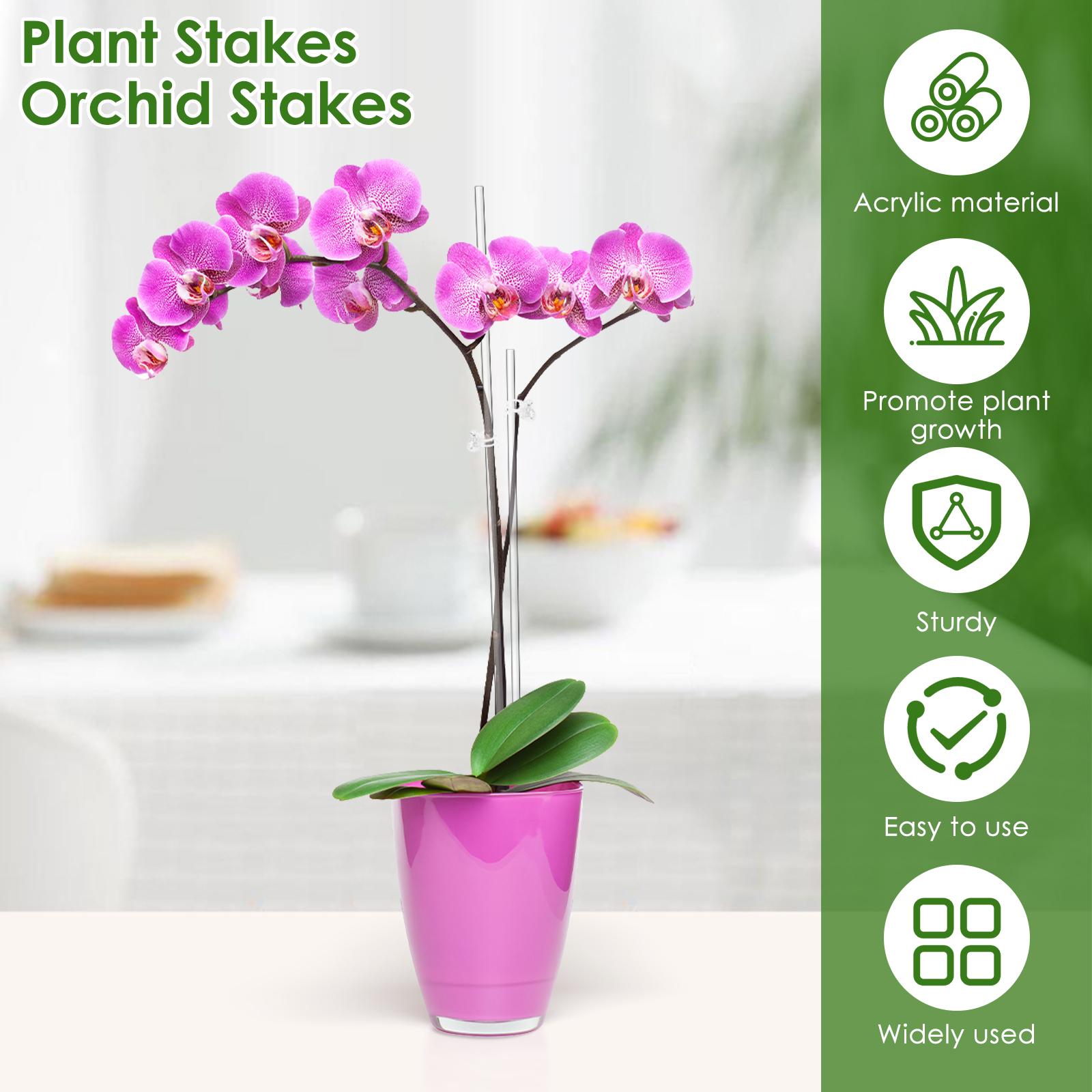 30Pcs Clear Orchid Stakes Acrylic Planting Sticks with 30 Clips 45cm and 40cm Planting Support Stake for Potted Flower Vegetable trasparente