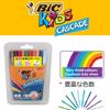 BIC Japan Cascade Filzstifte auf Wasserbasis, 30er-Pack, CSD-30