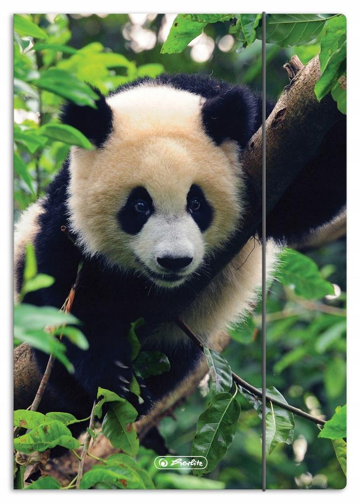 TECZKA RYS.A4 Z GUM.ANIMALS  300023013 A'10